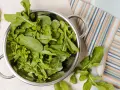 Rukola w durszlaku, idealna do przygotowania jadłospisu tygodniowego dieta FODMAP. Świeże liście na tle kolorowych tkanin.