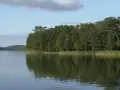 Spokojne jezioro z odbijającym się lasem w tle. Czy to właśnie tu znajduje się najgłębsze jezioro w Polsce?