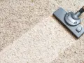 Staubsaugerbürste auf hellem Teppich. So einfach kann teppich reinigen mit Hausmitteln sein.