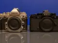 Srebrna lustrzanka Nikon Df i czarny bezlusterkowiec Nikon Zf stoją obok siebie, prezentując ewolucję fotografii.
