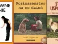 Jak tresować golden retrievera: skuteczne metody na posłuszeństwo