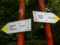 Rozdroże szlaków PTTK. Jedna trasa prowadzi do schroniska "Na Śnieżniku" (1h 15min), druga do Stronia Śląskiego (2h 15min).