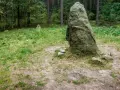 Kamienne kręgi na Kaszubach, tajemnicze głazy w lesie, świadkowie dawnych czasów.