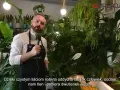 Mężczyzna w fartuchu mówi o roślinach, wśród nich jest kwiat radermachera. Rośliny produkują tlen.