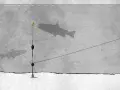 Angelmontagen Forelle: Ein Schatten einer Forelle schwimmt über dem Grund, während eine Angelmontage mit Schwimmer und Blei im Wasser hängt.