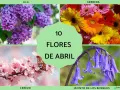 Cuatro imágenes de flores: lilas moradas, gerberas de colores, cerezo en flor y jacintos de los bosques. Un collage que celebra las flores de abril.