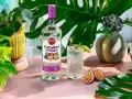 Bacardi drink przepis: klasyki i nowości, które zrobisz w domu!