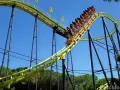 Cavallino Matto: Guida Attrazioni per Famiglie e Adrenalina
