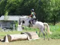 Une cavalière et son cheval blanc franchissent un obstacle en CSO équitation. Le cheval saute par-dessus un tronc d'arbre et une structure en bois.