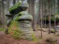 Skalne grzyby porośnięte mchem w lesie. Te naturalne formacje skalne przypominają gigantyczne grzyby, tworząc niezwykły krajobraz.
