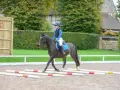Cheval au trot passant sur des barres au sol. La cavalière ajuste sa posture pour la distance barre de réglage au trot.