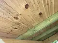 Mögel på träpanelen i en friggebod, troligen på grund av bristande ventilation.