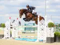 Un cavalier et son cheval, un étalon kannan, franchissent un obstacle lors d'une compétition d'équitation.