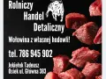 Gdzie kupić wołowinę? Najlepsze miejsca na świeże mięso w Polsce