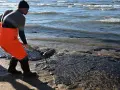 Morze Czarne: Czystość wody na wakacjach? Sprawdź, zanim wyjedziesz!