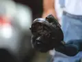 Mechanik trzyma element serwa hamulcowego. Objawy awarii mogą być różne, np. twardy pedał hamulca.