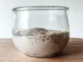 Aktiver Sauerteig im Glas, bereit für ein Lievito Madre Rezept. Blasen zeigen die Gärung.