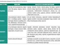Jak działają leki na depresję? Zrozum mechanizmy i skutki uboczne