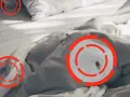 Una chinche en la cama, señalada con círculos rojos. Aprende cómo quitar las chinches de la cama para un descanso seguro.