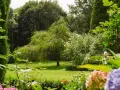 Ein üppiger Garten mit Hängebuche, Rosen und Hortensien. Tolle gartengestaltung tipps für ein Paradies.