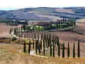 Strade sinuose e cipressi iconici nel parco della Val d'Orcia, con un casale in lontananza.