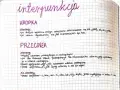 Zasady interpunkcji: kiedy stawiamy kropkę, a kiedy przecinek. Wyjaśnienie użycia przecinka w zdaniach złożonych i przed spójnikami.