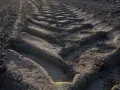 Ile trzeba mieć ziemi, żeby nie płacić podatku od nieruchomości? Oto szczegóły