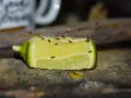 Fruchtfliegen auf einem Limettenstück. Ein Beweis, dass Zitrusfrüchte helfen, was gegen Fruchtfliegen hilft.
