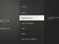 Fire TV Stick Menü mit hervorgehobenen "Developer options" und Text "Enable ADB connections over the network.