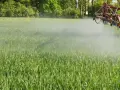 Opryskiwacz rolniczy z dyszami w kolorach tęczy rozpyla środek ochrony roślin Fastac 100 EC na zielonym polu zboża.