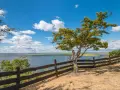 Widok na rozlewiska i łąki, przypominające kształtem delta świny, z drzewem i drewnianym płotem na pierwszym planie.