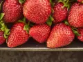 Truskawki świeże do 7 dni? Sprawdź, jak je przechowywać w lodówce!