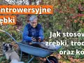 Kora czy zrębki - co lepsze do ogrodu? Odkryj kluczowe różnice