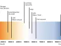 Graphique illustrant le spectre de couleurs des sources lumineuses, du feu de bois (chaud) au ciel bleu (froid), pour le réglage du **balance des blancs**.