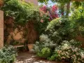 Un rincón acogedor con abundantes plantas enredaderas, flores rosas y blancas, y un banco bajo la sombra.