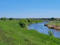Malowniczy szlak rowerowy Odra Nysa wije się wśród zielonych łąk i lasów, nad błękitną rzeką.