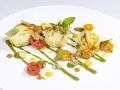 Terracotta Riccione: Gastronomia Vegetariana Artigianale | Gusto & Sostenibilità