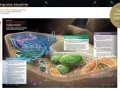 Biologia Villego czy Campbella - który podręcznik naprawdę się sprawdzi?
