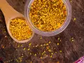 Une cuillère en bois et un pot remplis de pollen d'abeille, un concentré de bienfaits naturels.