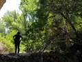 Persona con bastones de senderismo, disfrutando de las rutas por Siguenza, rodeada de vegetación exuberante y formaciones rocosas.
