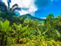 Ile kosztuje lot na Madagaskar? Ceny biletów, które zaskoczą