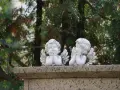 Dwa kamienne aniołki, jakby z limbusu, siedzą na kamiennym postumencie, otoczone zielenią drzew.