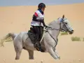 Une cavalière et son pur sang arabe endurance traversent le désert.