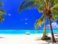 Rajska plaża na Mauritiusie w czerwcu. Błękitne niebo, turkusowa woda i palmy tworzą idealną pogodę na wakacje.