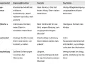 Tabelle vergleicht Umgangsmodelle für Kinder nach Trennung, z.B. 14-Tage-Rhythmus. Wichtige Infos für den Umgangsregelung-Gericht.