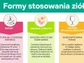 Jakie zioła obniżą ciśnienie? Top 7 roślin dla Twojego serca