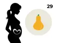 Schwarze Silhouette einer schwangeren Frau, die das 29. SSW-Baby mit einer Kürbisform vergleicht.