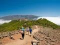 Senderos la Palma: tres personas caminan por un sendero rocoso con vistas a montañas cubiertas de pinos y un mar de nubes.