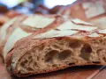 Una fetta di pane con lievito madre, crosta dorata e alveolatura pronunciata.