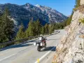 Motociclista su strada alpina in Svizzera, con montagne innevate e foreste. Ottimi consigli per un viaggio in moto in Svizzera.